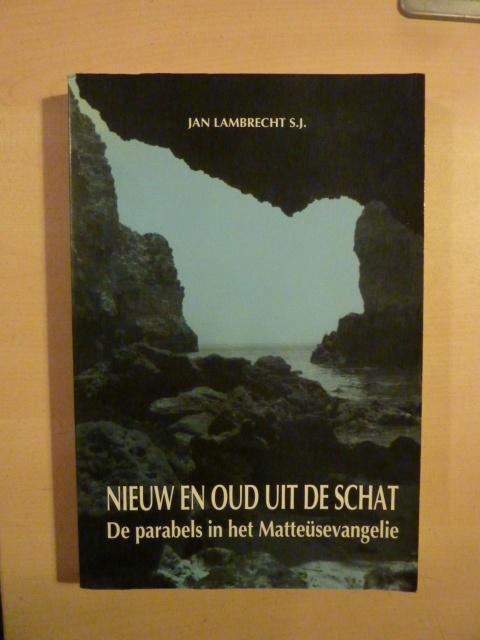 Jan Lambrechts - Nieuw en oud uit de schat Mattheüsevangelie, Boeken, Godsdienst en Theologie, Zo goed als nieuw, Ophalen of Verzenden