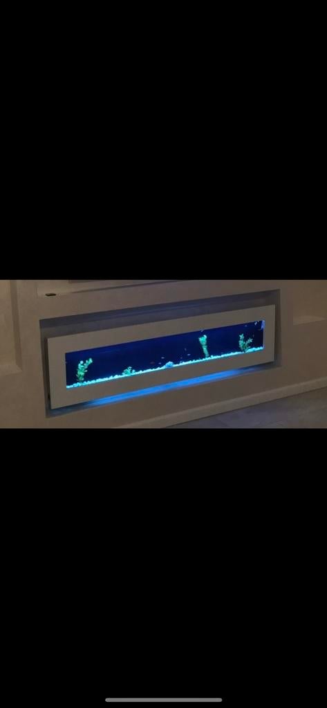 Aquarium wit 20cm diep, Dieren en Toebehoren, Vissen | Aquaria en Toebehoren, Ophalen, Zo goed als nieuw, Leeg aquarium