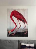 IXXI schilderij flamingo 120x160cm, Ophalen of Verzenden