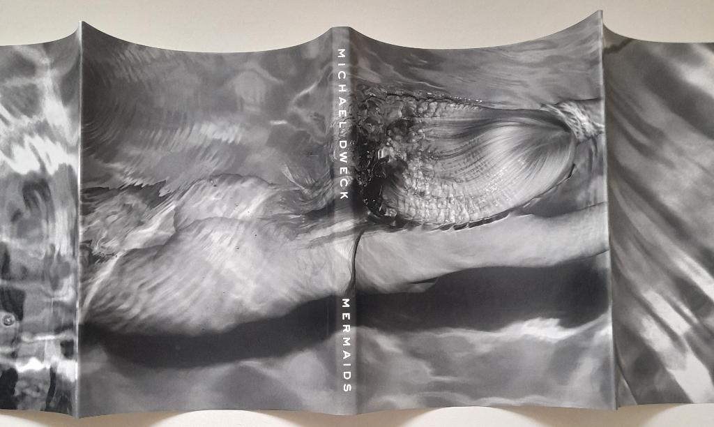 Michael Dweck - Mermaids - Koffietafelboek - 160 pag.- 2008, Fotografen, Michael Dweck, Verzenden, Zo goed als nieuw