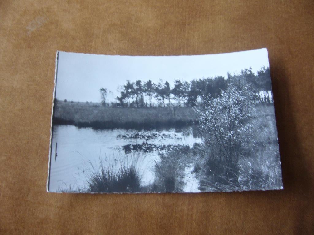 SPIER  =  BUNGALOWPARK T, VENNEGIEN, Ophalen of Verzenden, 1940 tot 1960, Ongelopen