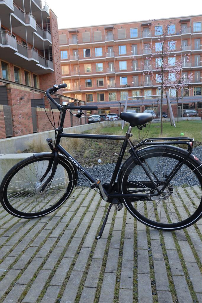 Batavus Winner N3 Herenfiets (2018) - Framemaat 58 cm, Ophalen, Gebruikt, Versnellingen, Batavus