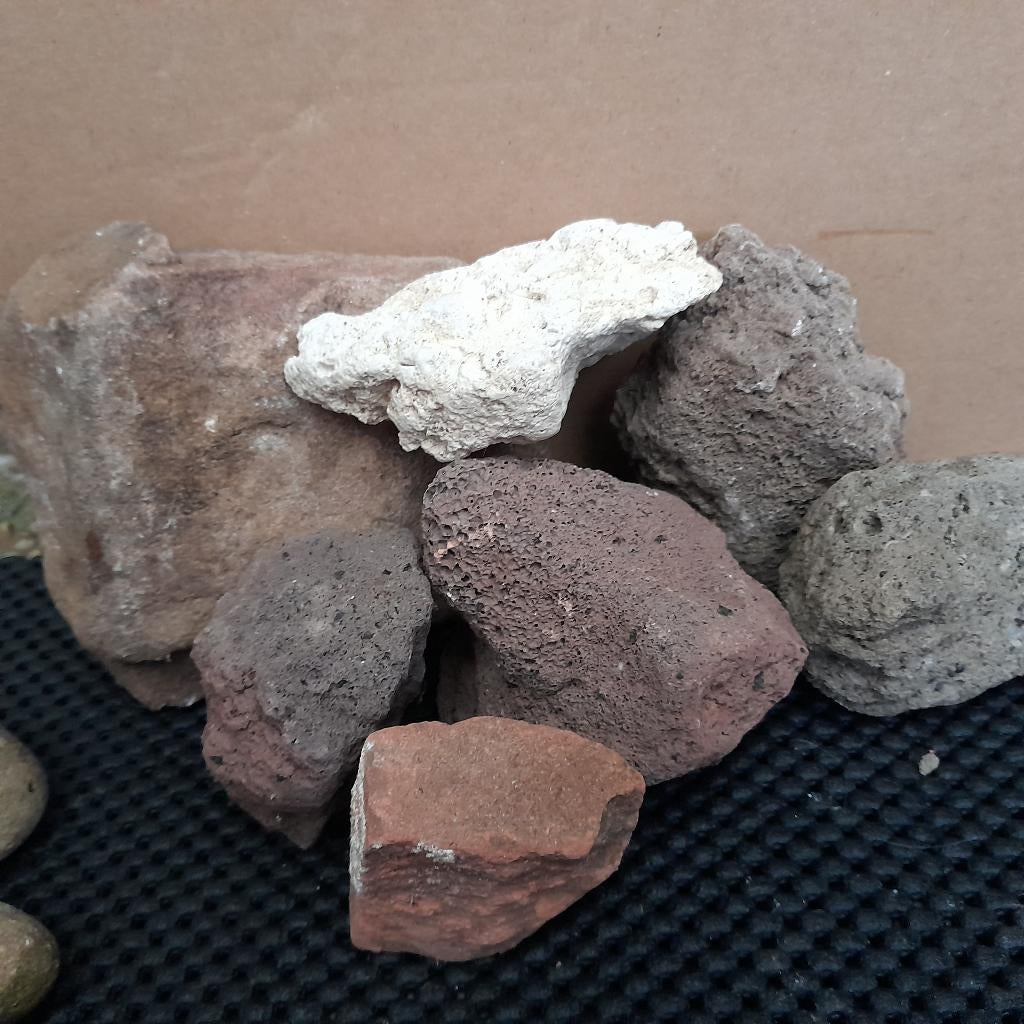 Aquarium (decoratie-sier) Stenen, Ophalen, Zo goed als nieuw, Plant(en), Steen of Hout