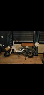 Fatbike ( donkergroen ), 20 inch of meer, Gebruikt, Versnellingen, Dames