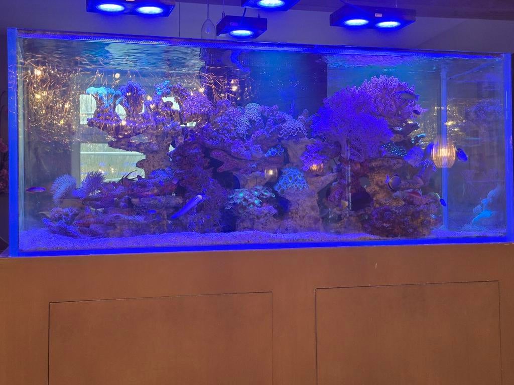 Aquarium rimless 150x60x60 cm, Ophalen of Verzenden, Zo goed als nieuw, Leeg aquarium