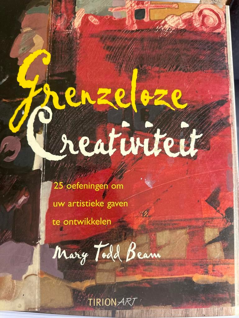 Grenzeloze Creativiteit: Ontwikkel je artistieke gaven, Ophalen of Verzenden, Gelezen, Overige onderwerpen