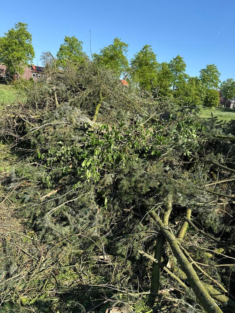 Grote stapel restanten boomstammen en takken, 6 m³ of meer, Ophalen, Overige houtsoorten, Takken