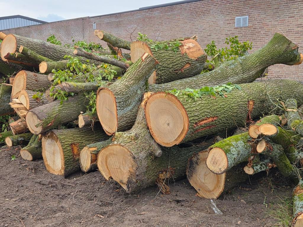 Gereserveerd, Tuin en Terras, Haardhout, Stammen, Eikenhout, 6 m³ of meer, Ophalen