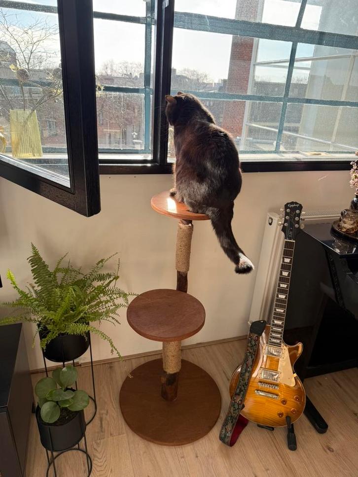 Kattenmeubel krabpaal, Dieren en Toebehoren, Krabmeubelen, Zo goed als nieuw, Krabpaal, Ophalen