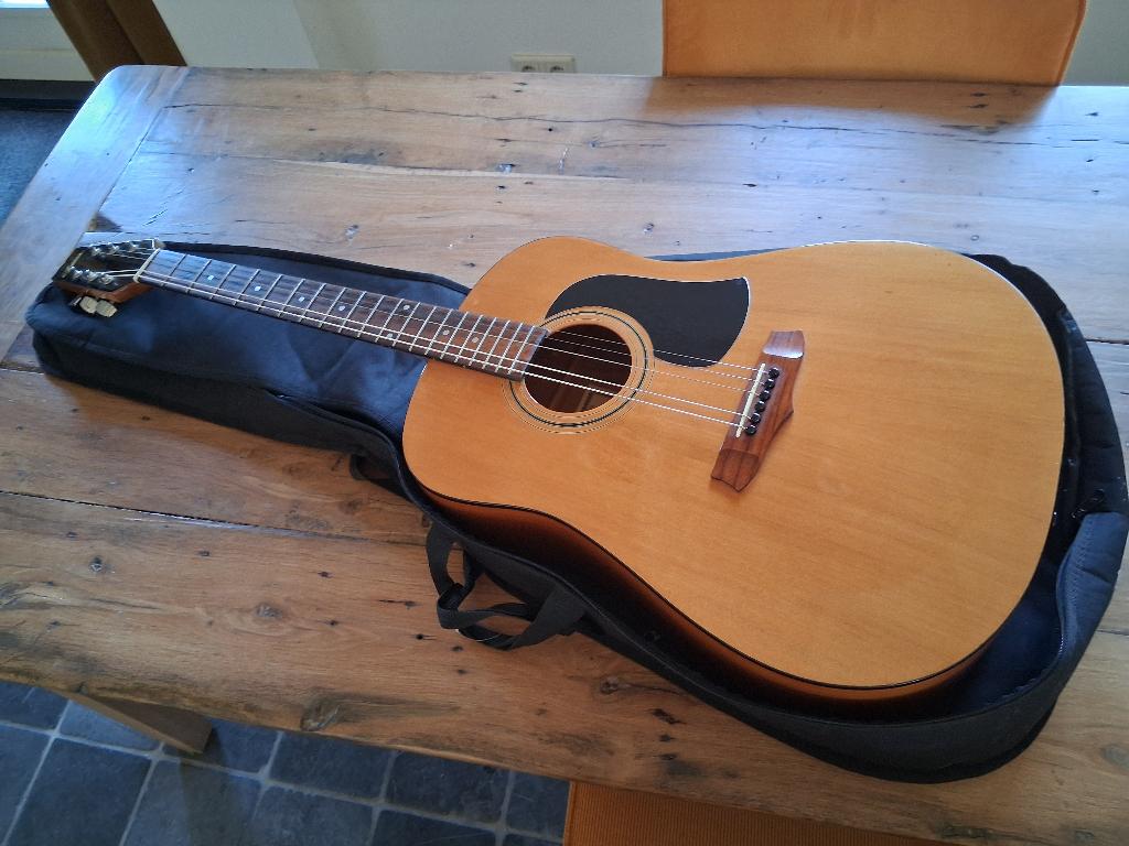 Ariana WM-65 western gitaar, Muziek en Instrumenten, Ophalen, Gebruikt, Western- of Steelstringgitaar