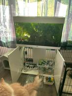 Aquarium Juwel  en Biorb compleet, Dieren en Toebehoren, Verzenden, Gebruikt, Gevuld zoetwateraquarium