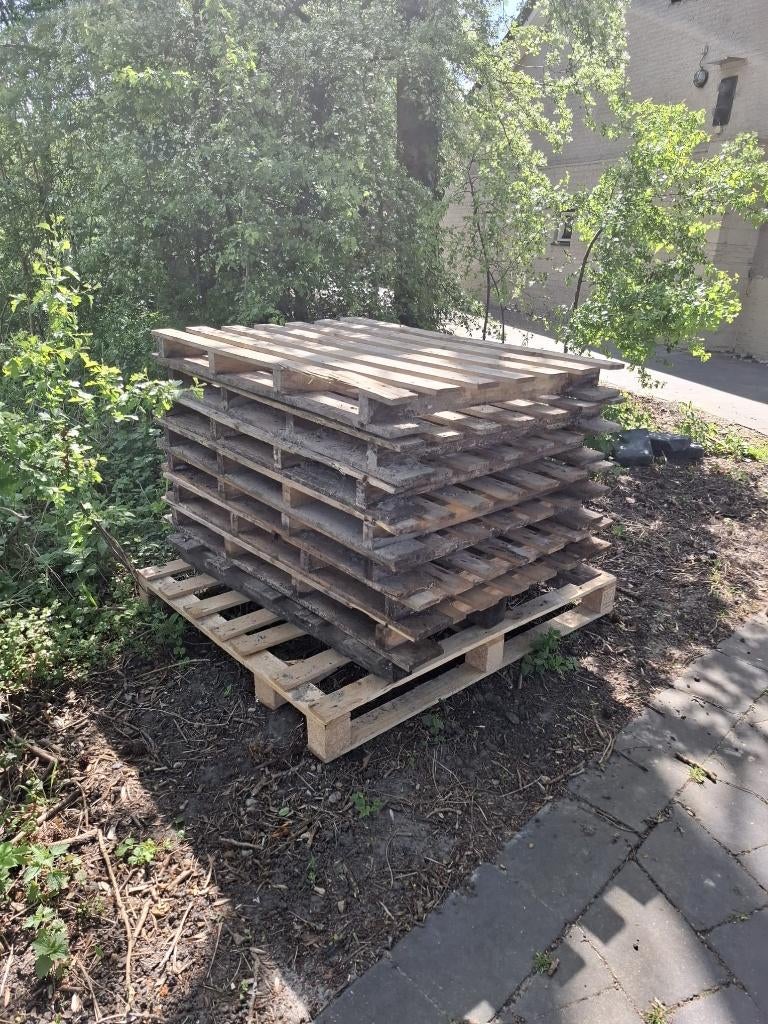 Gratis pallets af te halen, Doe-het-zelf en Verbouw, Hout en Planken, Ophalen, Gebruikt, 50 mm of meer, Pallet