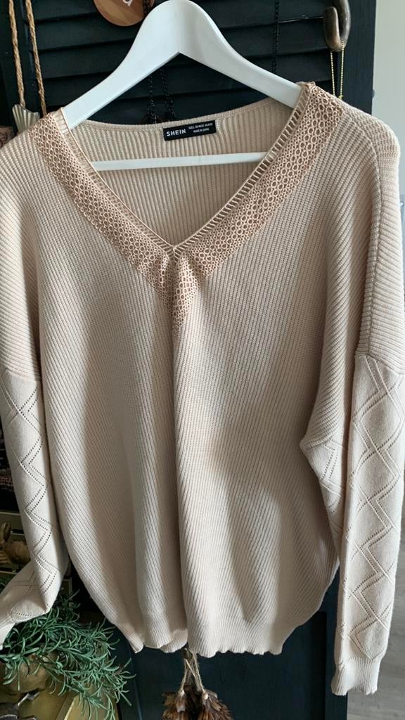 Dames v hals trui  maat L, Kleding | Dames, Blouses en Tunieken, Ophalen of Verzenden, Zo goed als nieuw