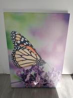 Schilderij vlinder, Huis en Inrichting, Woonaccessoires | Schilderijen, Tekeningen en Foto's, Ophalen, 50 tot 75 cm, Schilderij