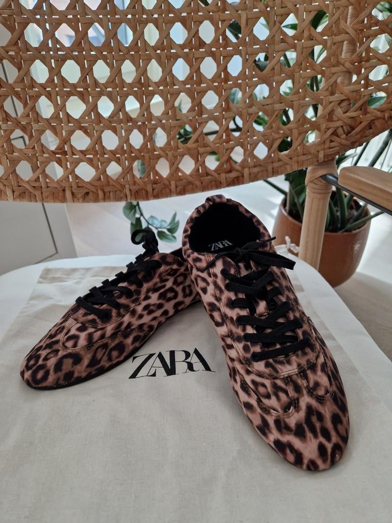Zara, derby schoenen, maat 39, nieuw., Kleding | Dames, Bruin, Zara, Nieuw, Ophalen of Verzenden
