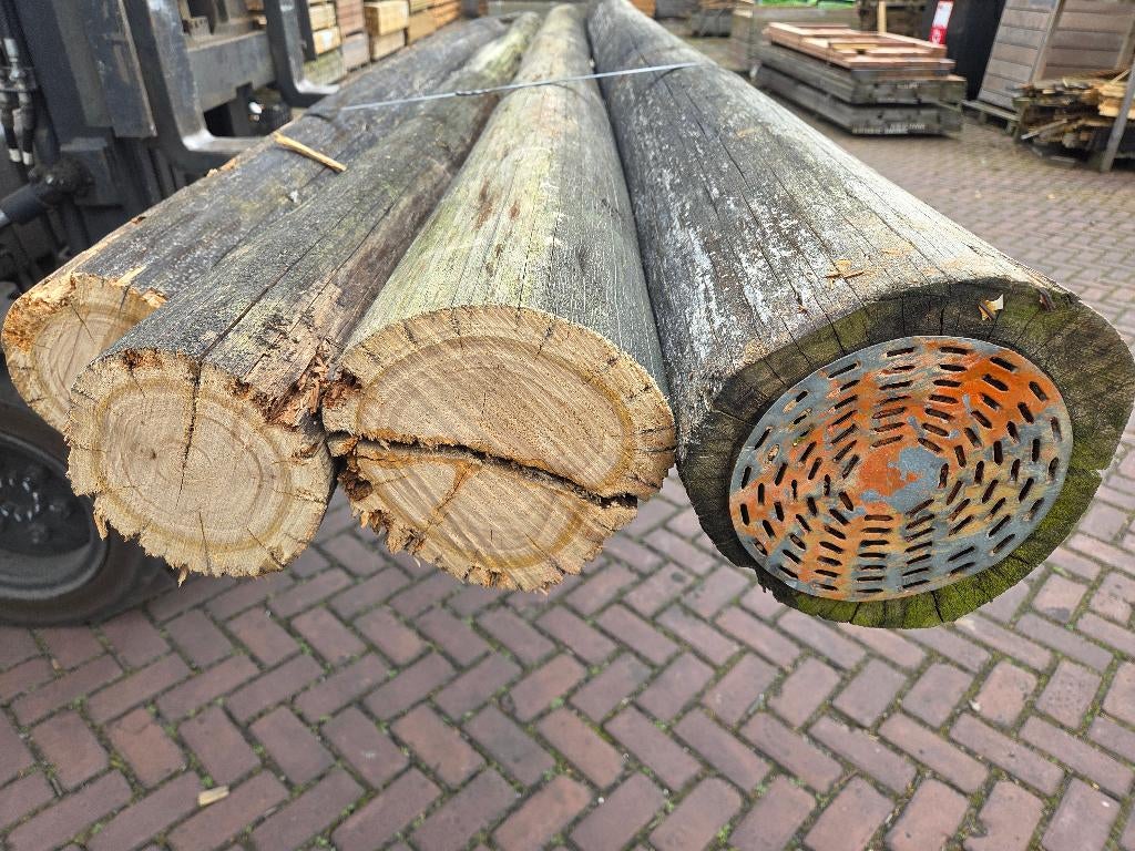Ronde palen  Afmeting: +/- 12 / 20 cm - nr: TB301, Ophalen, Gebruikt, 250 cm of meer, Palen
