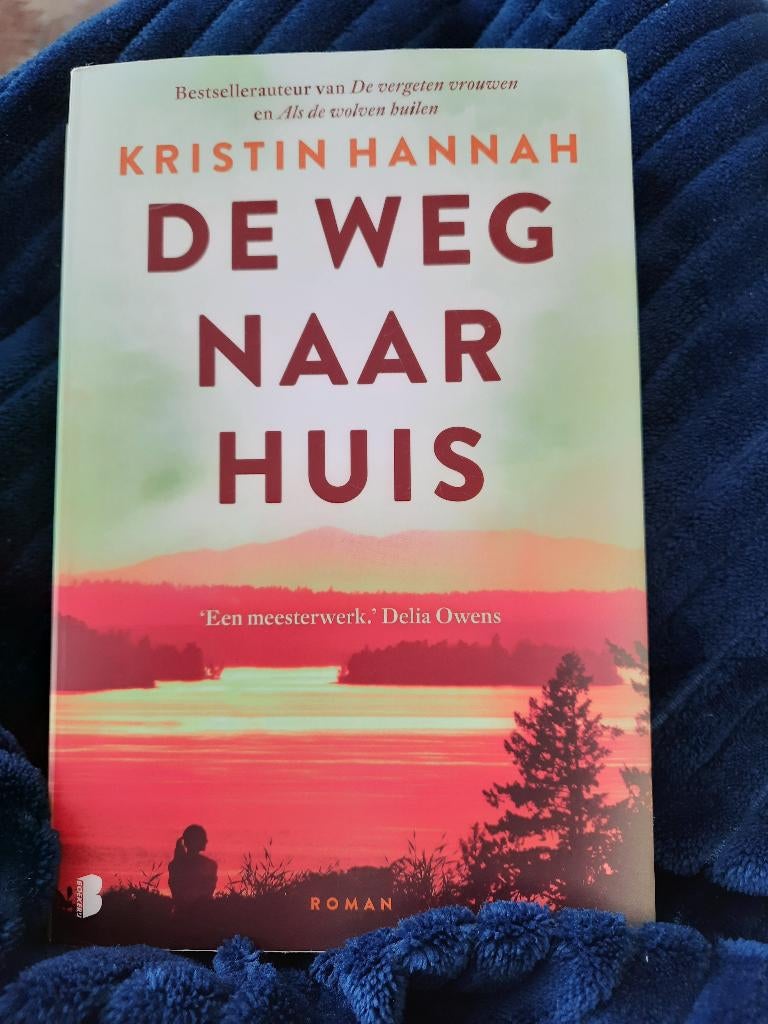 De weg naar huis - Kristin Hannah, Boeken, Ophalen of Verzenden, Zo goed als nieuw, Nederland, Kristin Hannah