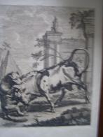 prent  of ets? Koe vecht met hond. Zw/w Ingelijst 32x22cm, Ophalen of Verzenden, Zo goed als nieuw