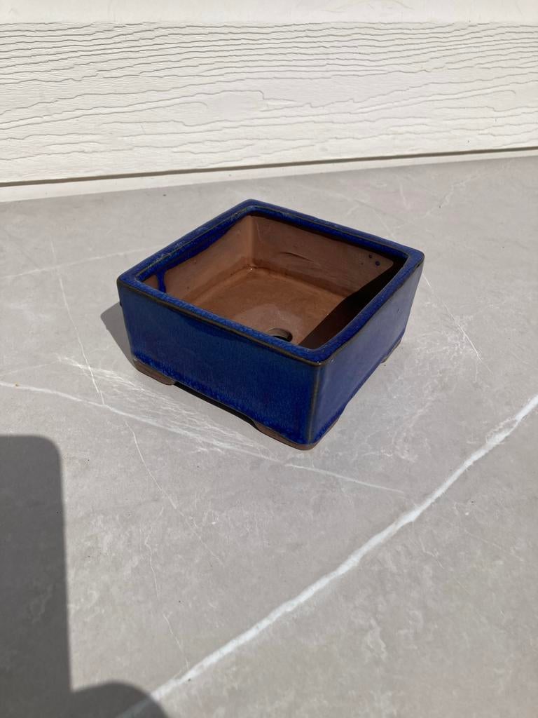 Blauwe vierkante bonsai pot, Gebruikt, Ophalen of Verzenden, Aardewerk, Minder dan 40 cm