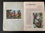 De Vogelman - Vintage Plaatjesalbum met Illustraties, Boeken, Prentenboeken en Plaatjesalbums, Ophalen, Gelezen, Plaatjesalbum