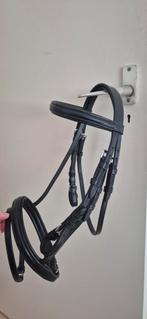 Shetlander hoofdstel, Ophalen, Nieuw, Overige soorten