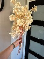 Bloesemtakken, Ophalen of Verzenden, Nieuw