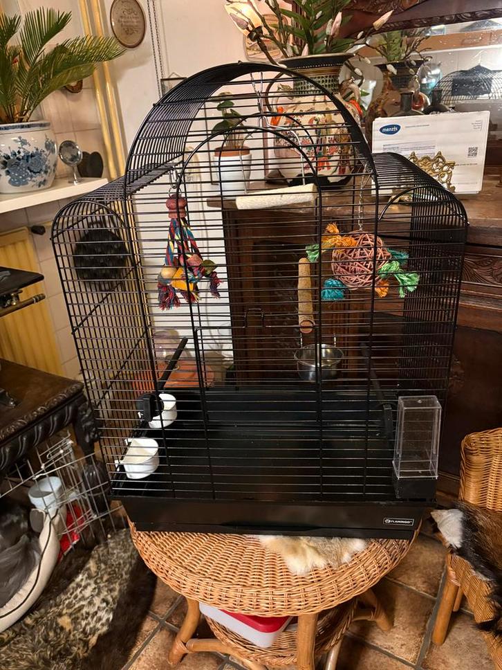 Vogelkooi., Dieren en Toebehoren, Vogels | Hokken en Kooien, Zo goed als nieuw, Vogelkooi, Metaal, Ophalen of Verzenden