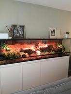 Custom build Terrarium 210 x 50 x 55, Ophalen, Gebruikt, Terrarium of Paludarium