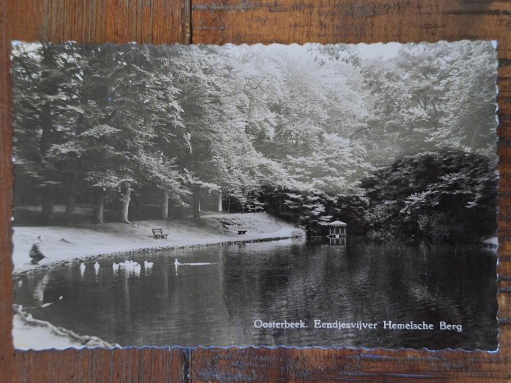 Fotokaart Oosterbeek - Eendjes ijver, Hemelsche Berg, Ophalen of Verzenden, Gelopen, Gelderland