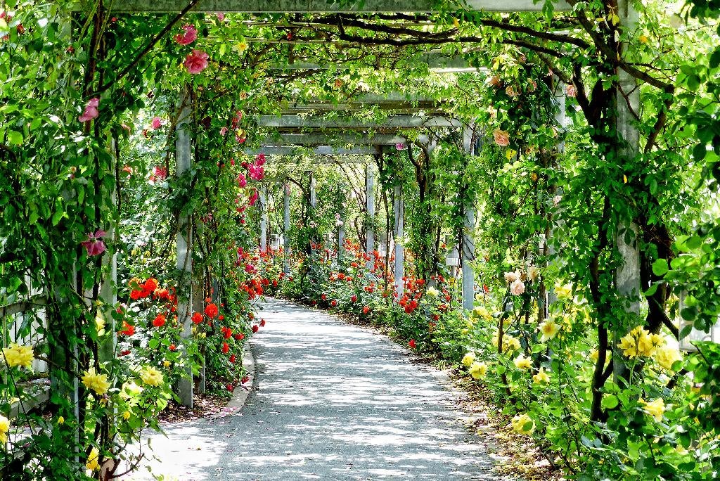 Tuinposter 160 x 240 cm (h x br.), Tuin en Terras, Verzenden, Nieuw