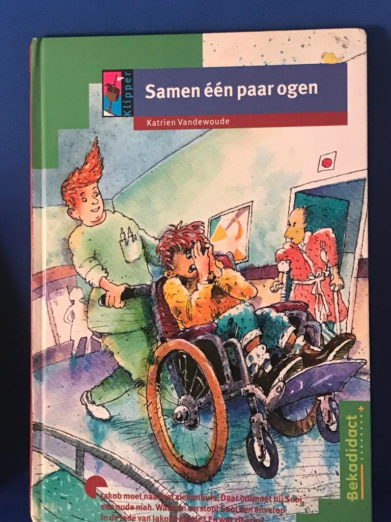 Samen één paar ogen - Katrien Vandewoude, Boeken, Ophalen, Gelezen, Fictie algemeen