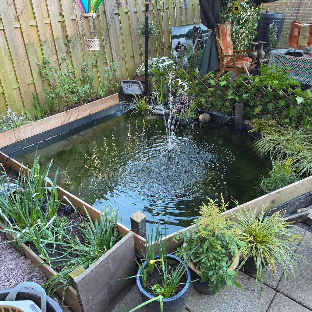 Vriendje gezocht, Tuin en Terras, Ophalen of Verzenden