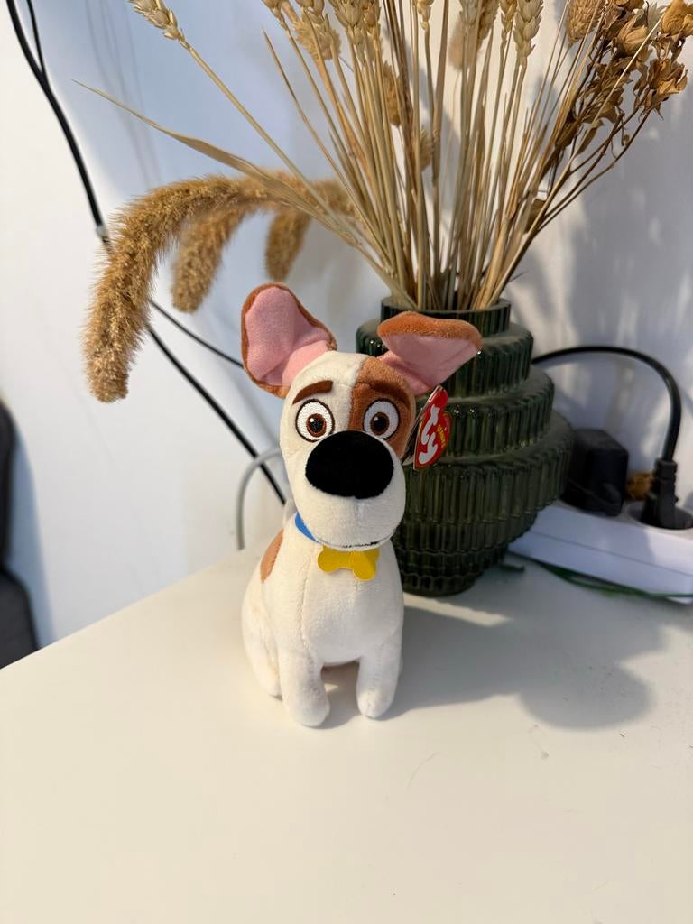 Originele TY Beanie Babies Max knuffel, Kinderen en Baby's, Speelgoed | Knuffels en Pluche, Ophalen of Verzenden, Nieuw, Hond