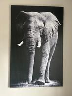 Schilderij canvas olifant, luipaard, Schotse hooglander, Ophalen, Zo goed als nieuw, Schilderij, 100 tot 125 cm