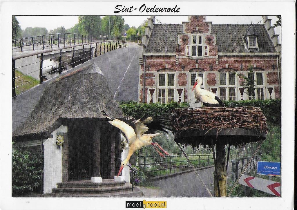 V258 Ongelopen ansichtkaart sint - oedenrode, Ophalen of Verzenden, 1980 tot heden, Ongelopen