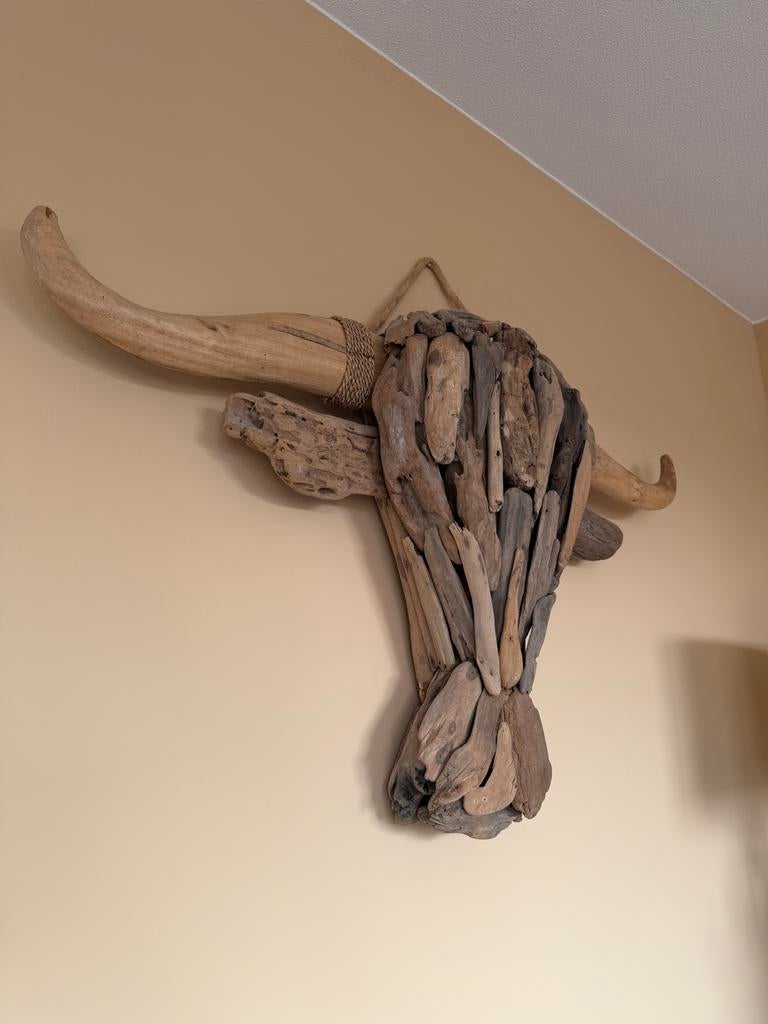 Grote houten ossenkop van drijfhout, Ophalen, Gebruikt