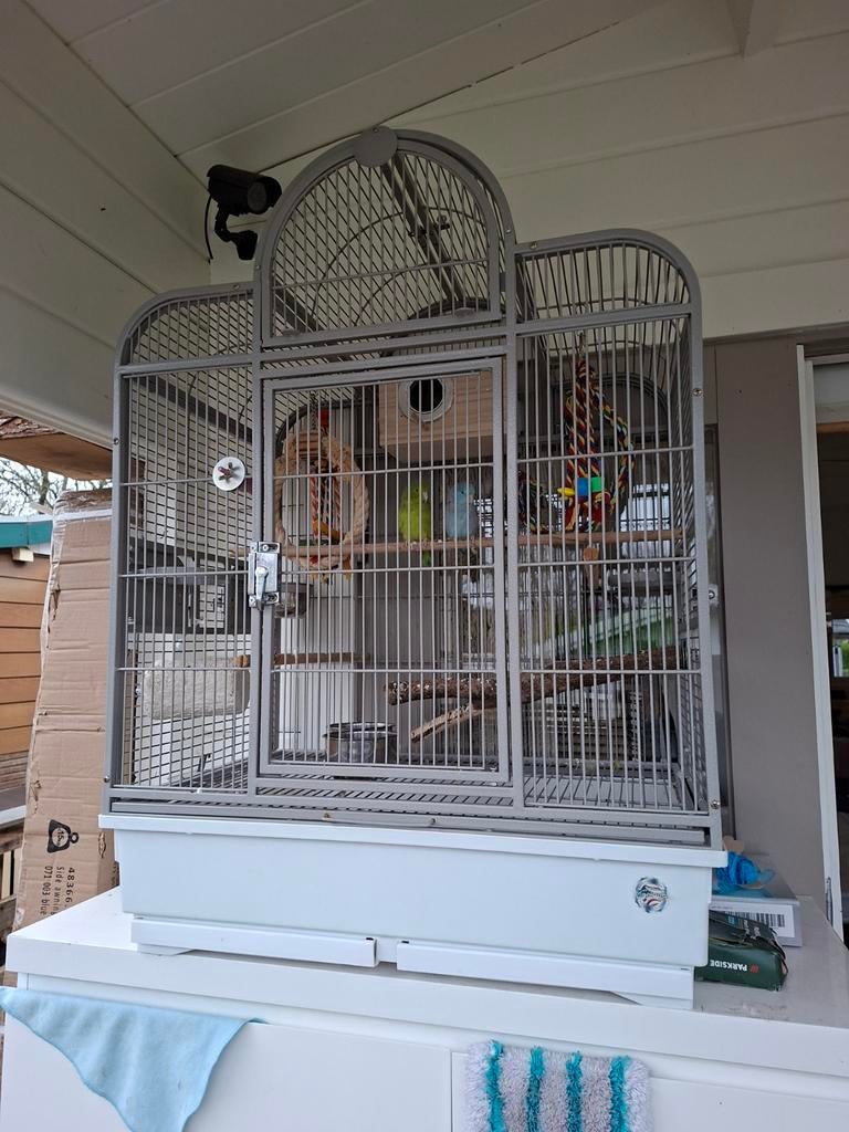 Montana kooi, Dieren en Toebehoren, Ophalen, Zo goed als nieuw, Metaal, Vogelkooi