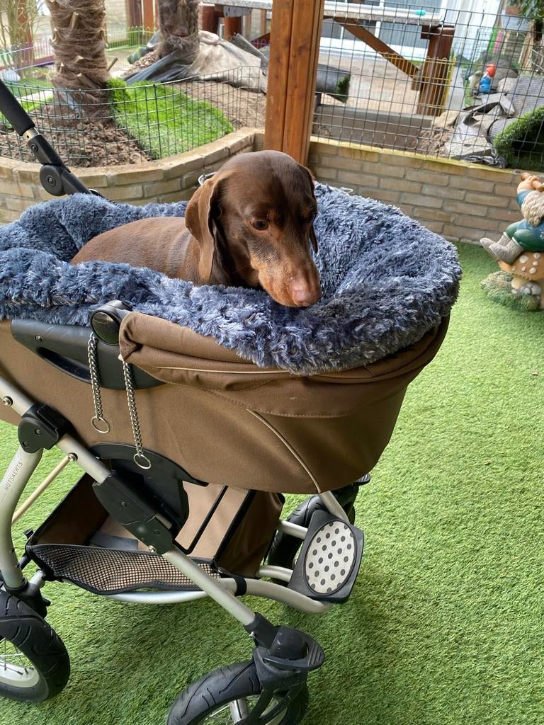 Hondenwagen wandelwagen hondenbuggy !, Dieren en Toebehoren, Honden-accessoires, Ophalen of Verzenden, Gebruikt