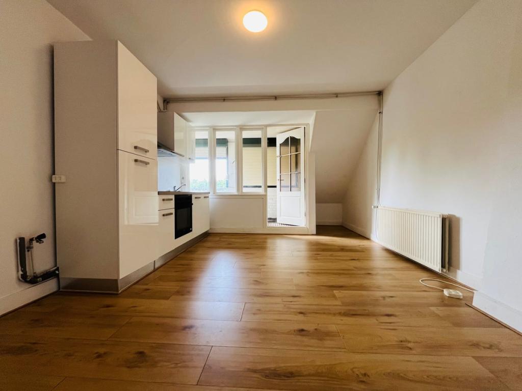 NIEUW! Woonruimte te huur Boergoensevliet, Rotterdam