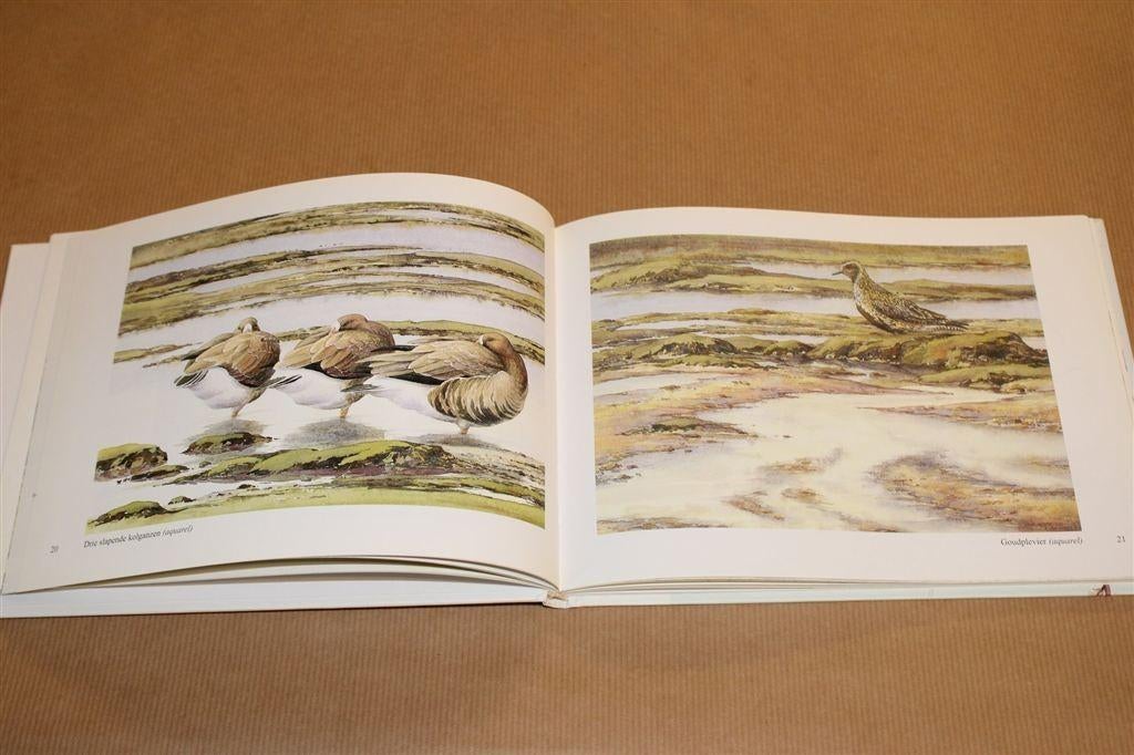 Uilenpad — Impressies Zuid-Beveland — Erik van Ommen, Ophalen of Verzenden, Zo goed als nieuw