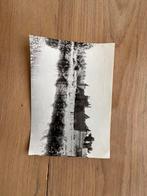 Overbetuwe oude ansichtkaart gratis, Ophalen of Verzenden, Gelderland