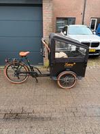 Terra Bike Elektrische Bakfiets met Huif, Fietsen en Brommers, Fietsen | Bakfietsen, Elektrisch, Zo goed als nieuw, 2 kinderen
