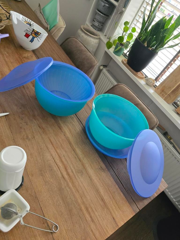 Tupperware kommen en schalen set, Ophalen of Verzenden, Gebruikt, Groen, Bak of Kom