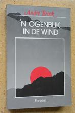 'n ogenblik in de wind André Brink Gratis, Boeken, Gelezen, André Brink, Ophalen of Verzenden, Nederland