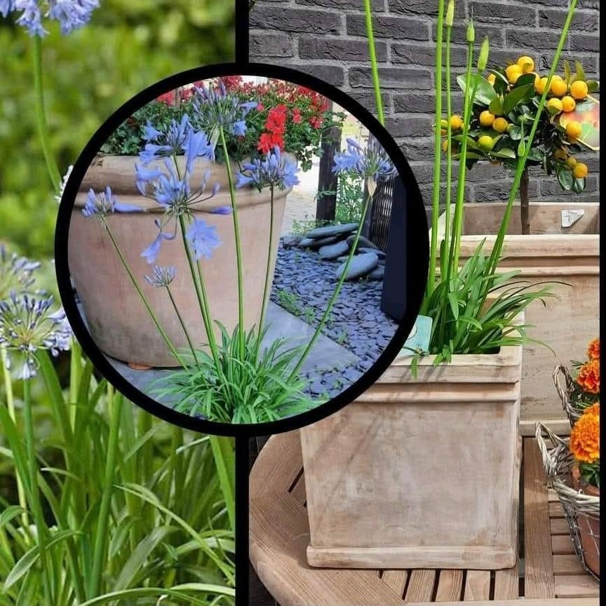 Vierkante terracotta potterie / scherpe prijzen !!, Tuin en Terras, Ophalen, Vierkant, Nieuw, Minder dan 40 cm