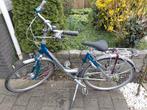 Gazelle Medeo Plus Damesfiets 28 inch, Ophalen, Versnellingen, Gazelle, 53 tot 56 cm