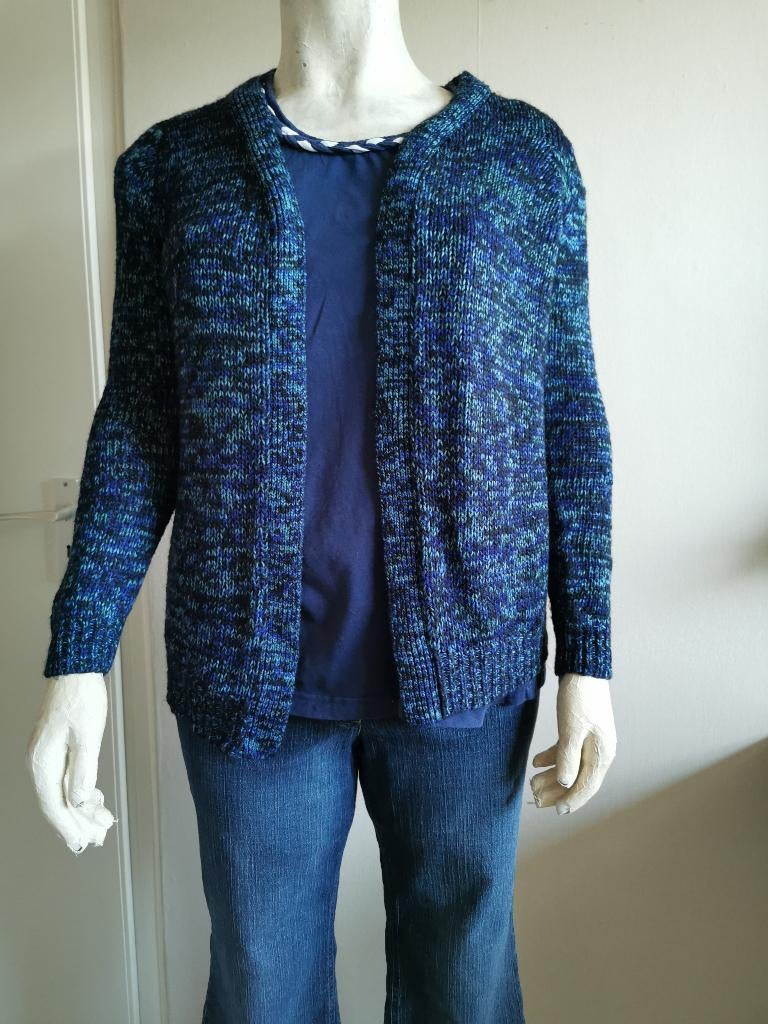 166 .. zgan prachtig dik vest maat xl, Ophalen of Verzenden, Zo goed als nieuw, Blauw, Trui of Vest