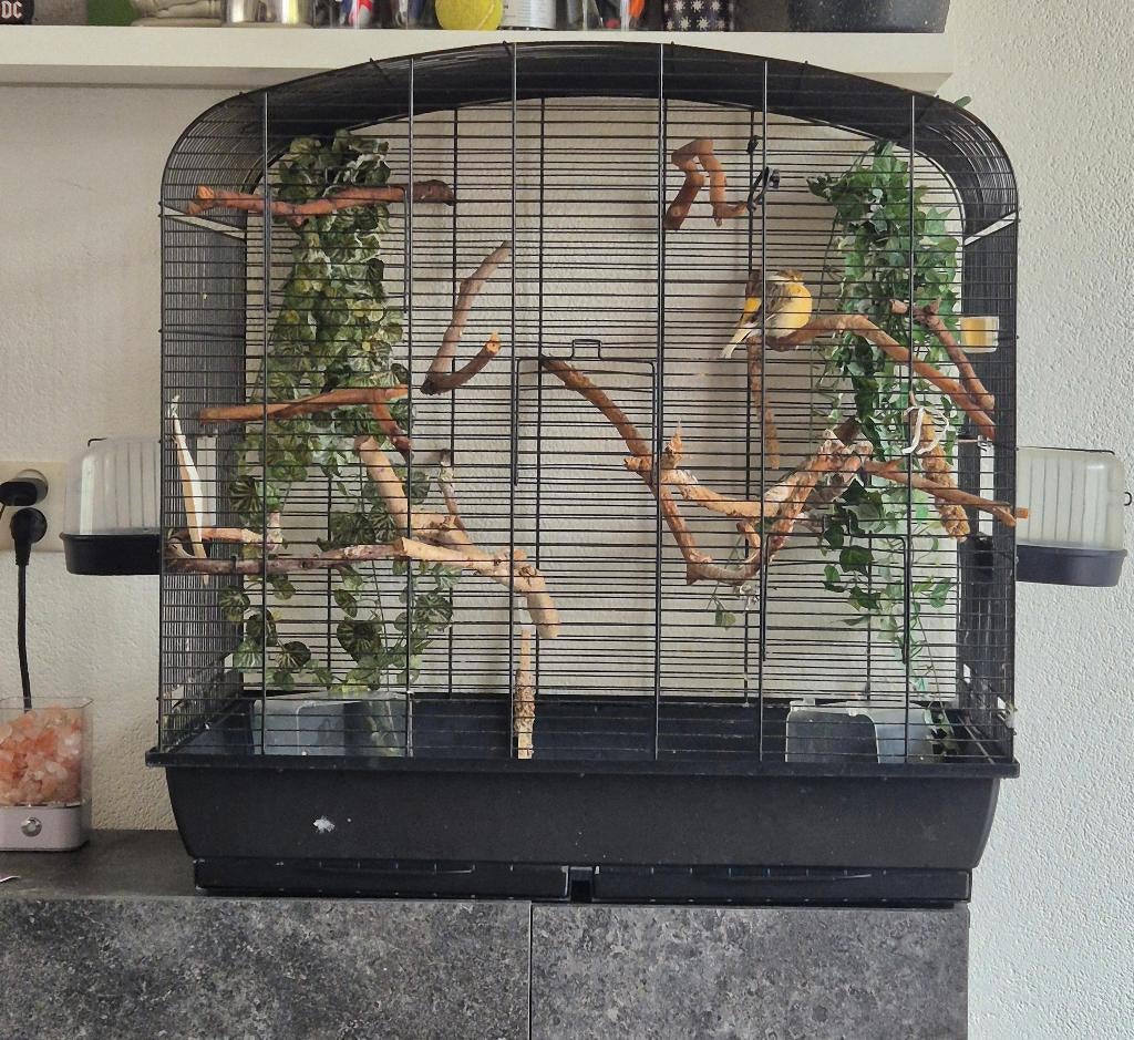 Vogelkooi en toebehoren, Dieren en Toebehoren, Vogels | Hokken en Kooien, Ophalen, Gebruikt, Metaal, Vogelkooi