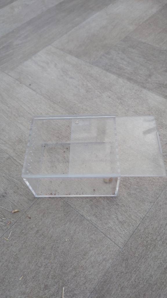 Mini terrarium, Ophalen, Zo goed als nieuw, Terrarium of Paludarium