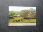 Soest, nat. rusthuis paarden st. de Paardenkamp, Verzenden, 1980 tot heden, Ongelopen, Utrecht